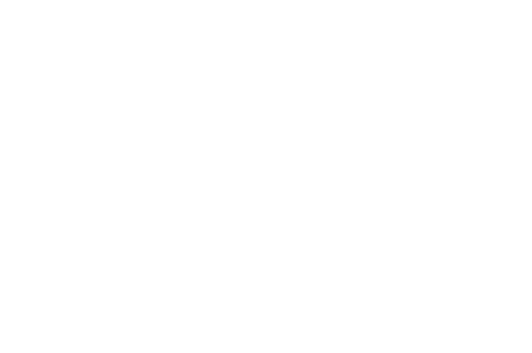 SomaFix Professional
